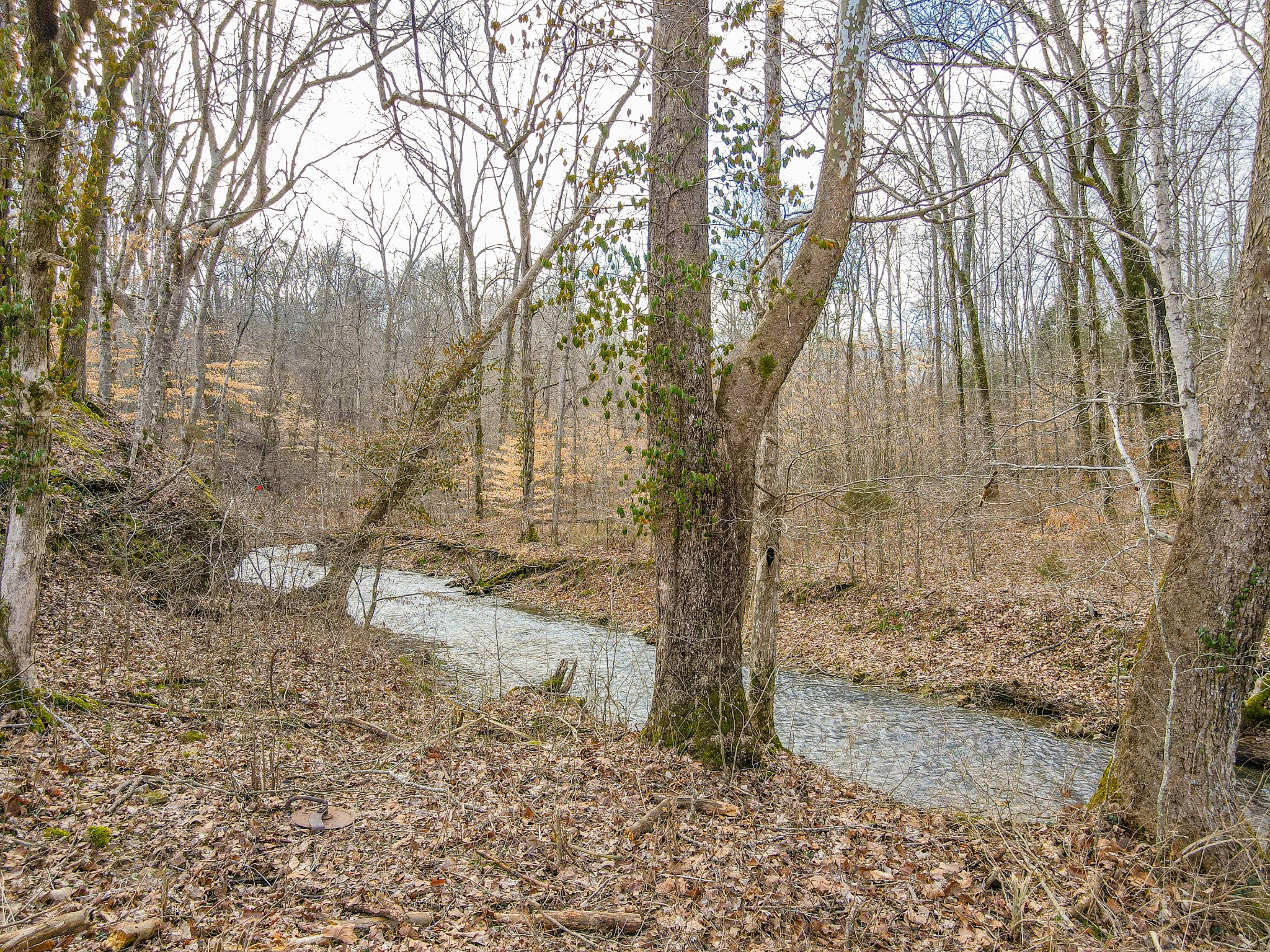1801 Garrett Rd Property Photo 77