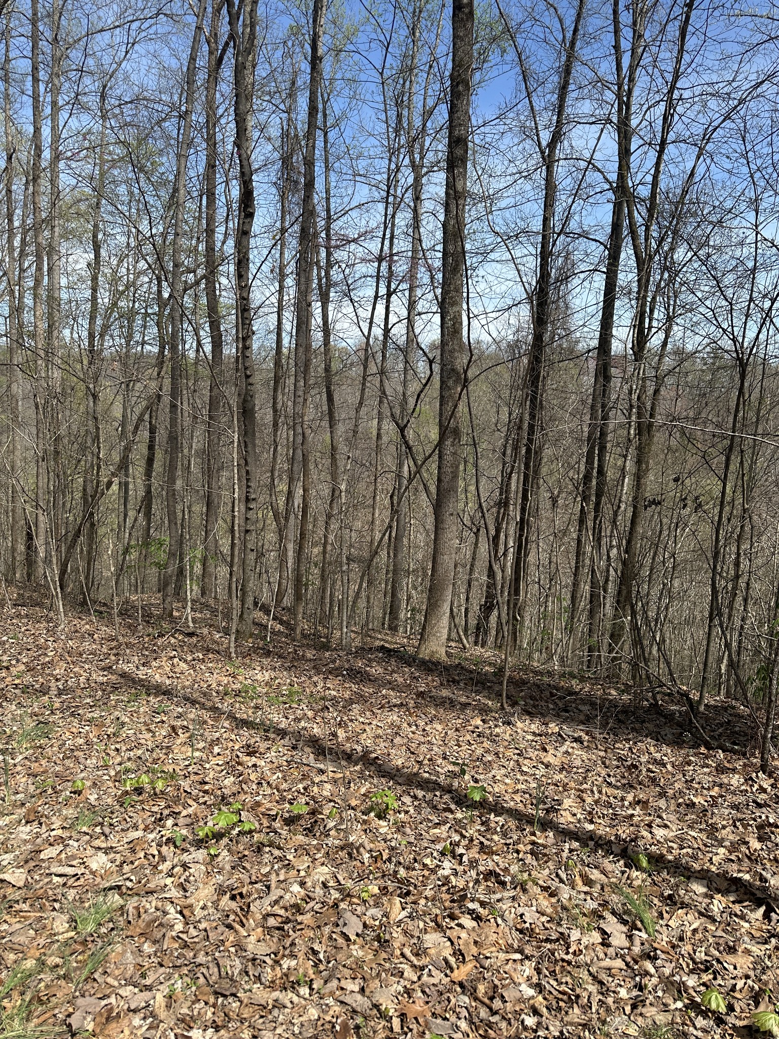 0 Crestwood Dr Property Photo 1