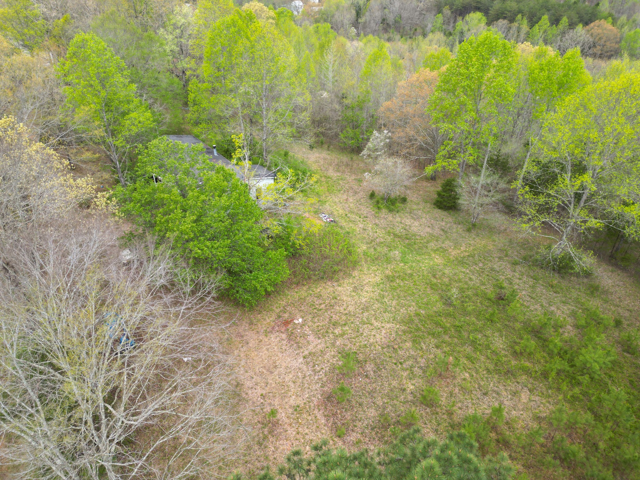 3026 Petway Rd Property Photo 7
