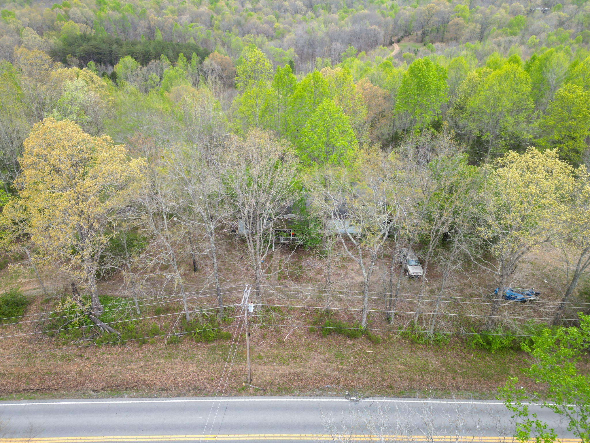 3026 Petway Rd Property Photo 13