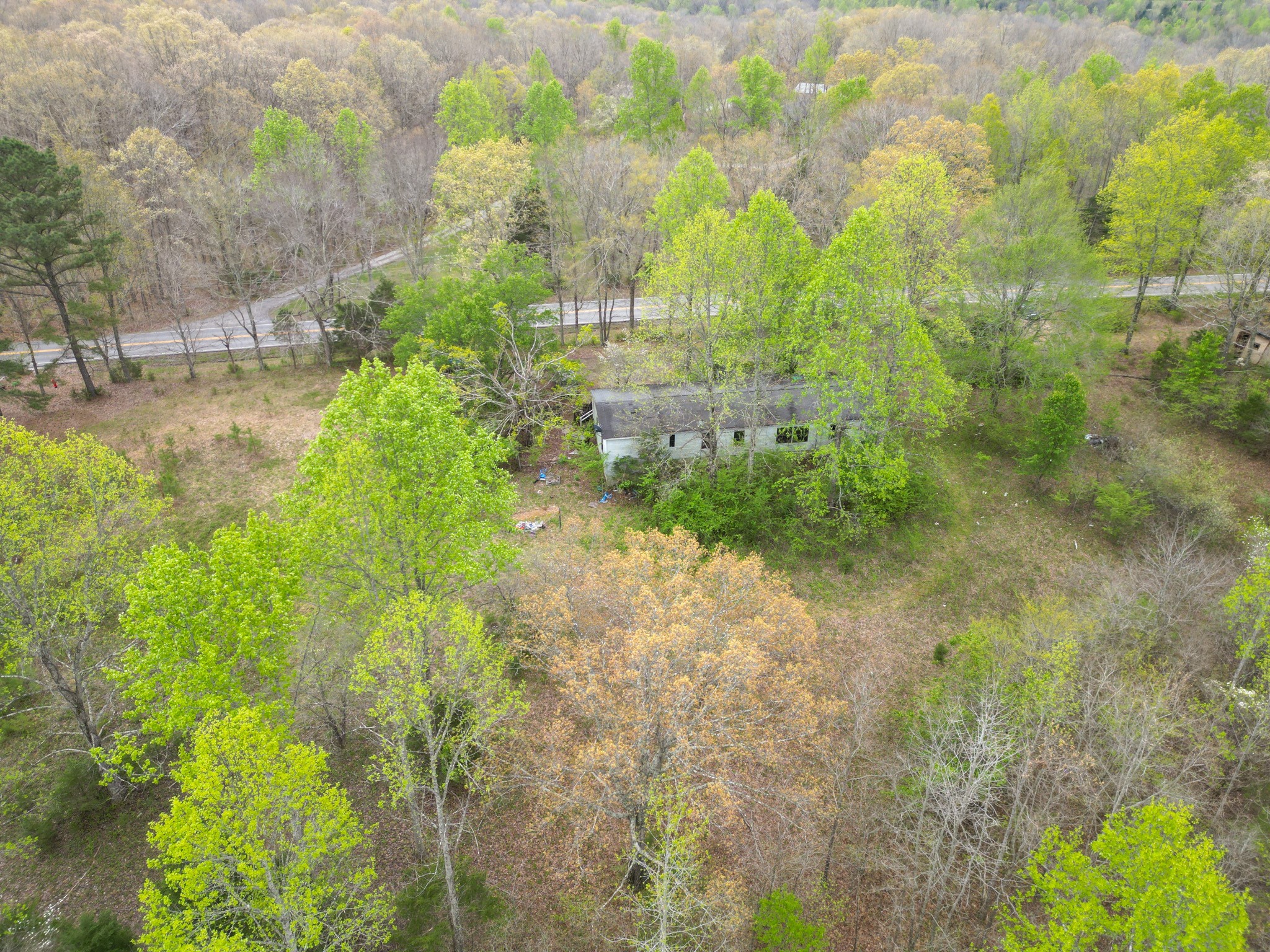 3026 Petway Rd Property Photo 17