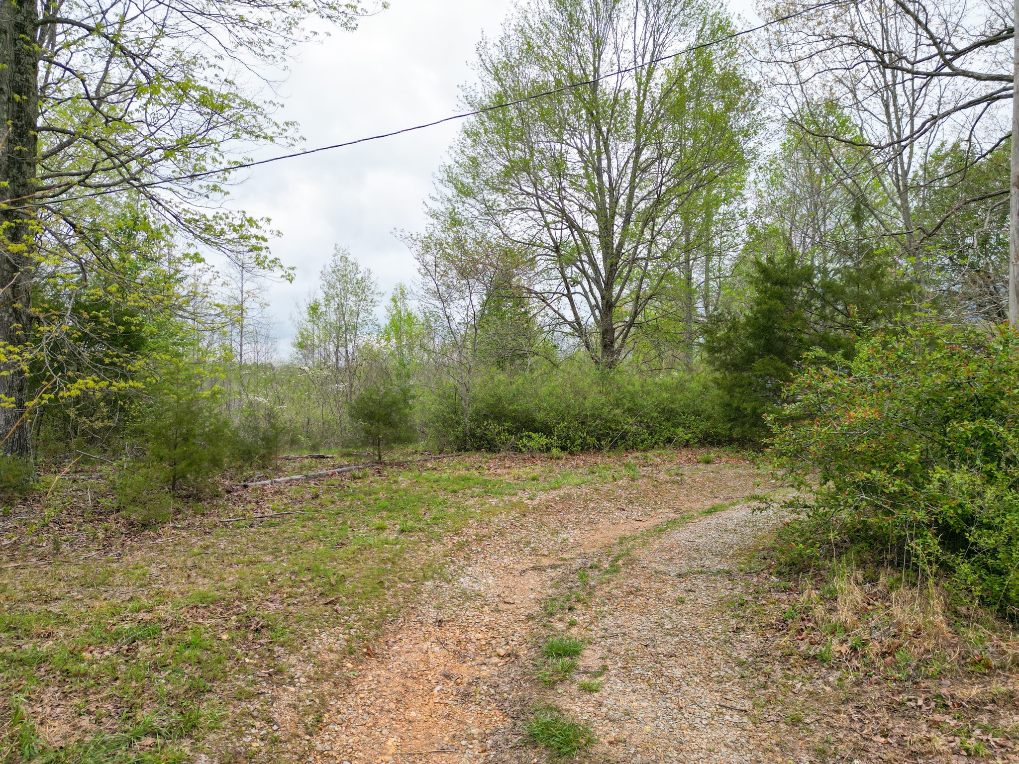 3026 Petway Rd Property Photo 20