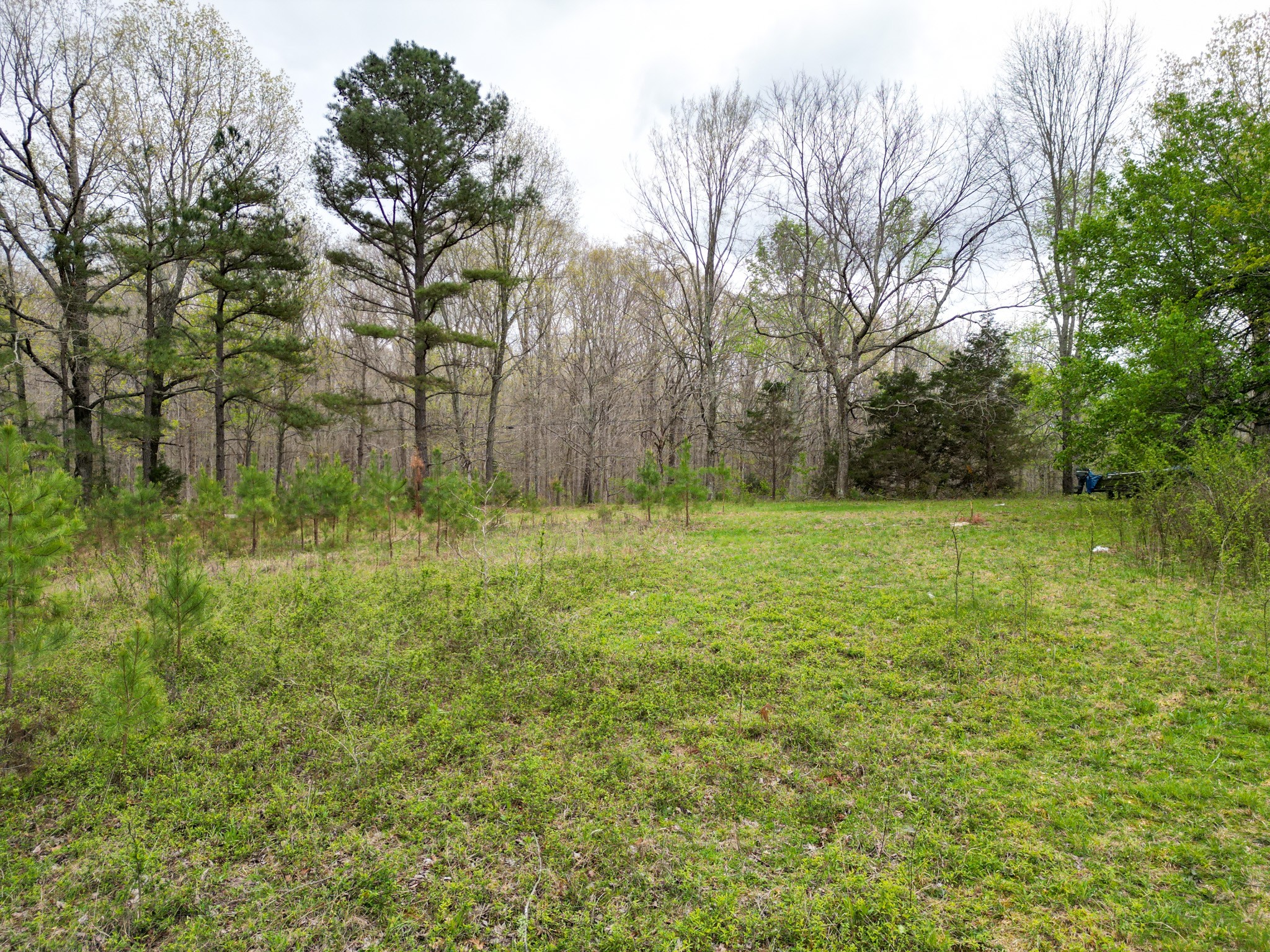 3026 Petway Rd Property Photo 31