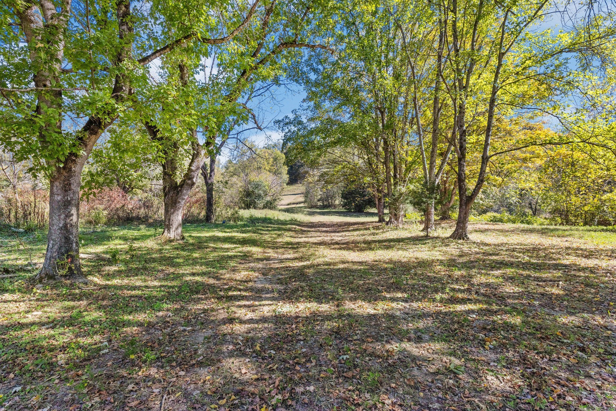 14256 Campbellsville Rd Property Photo