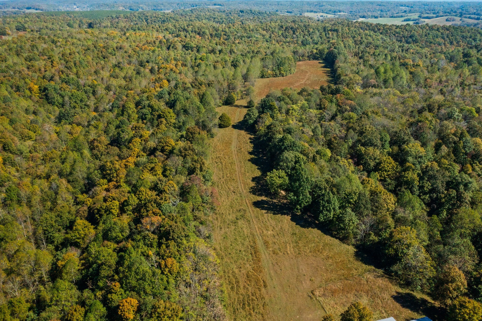14256 Campbellsville Rd Property Photo 4
