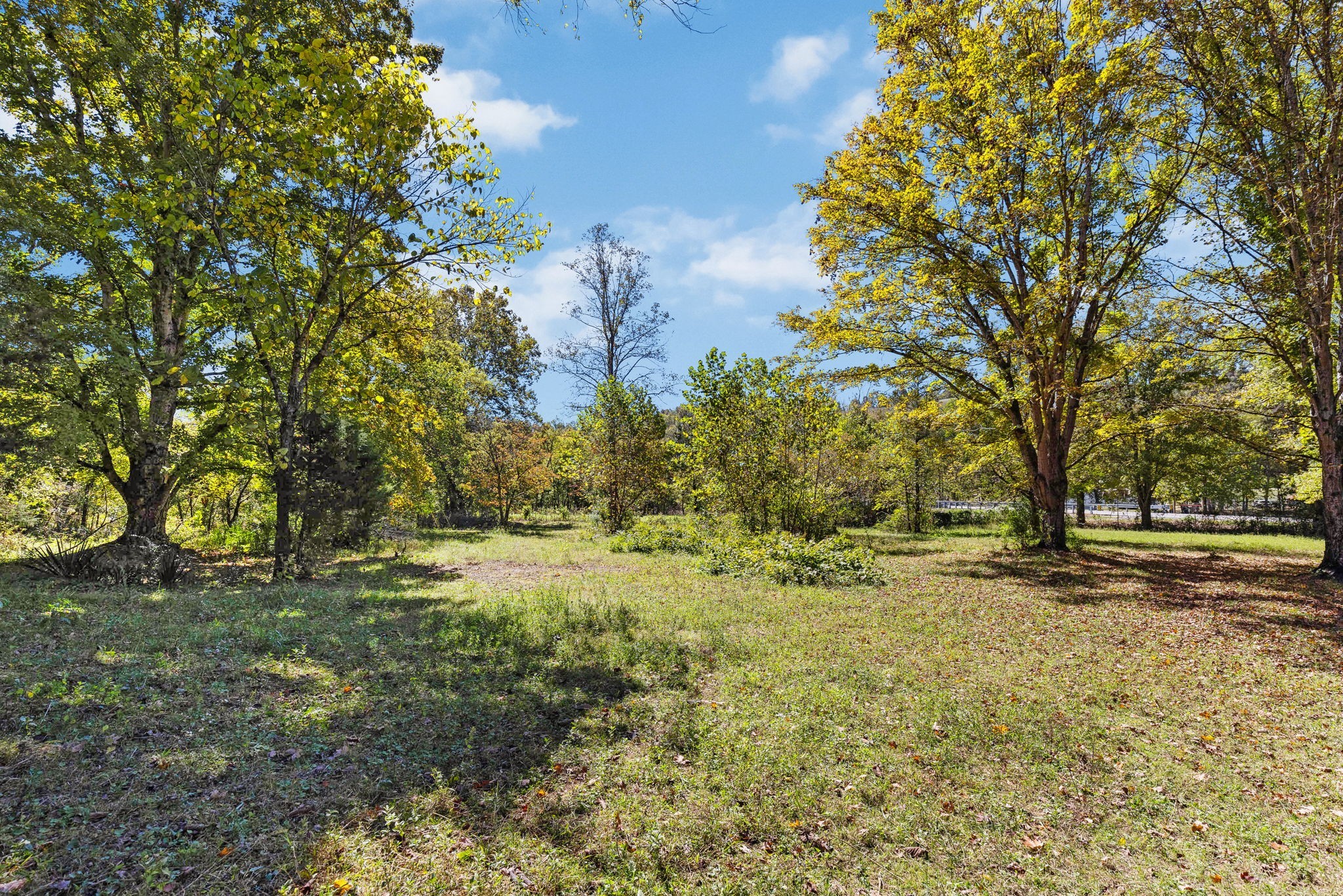 14256 Campbellsville Rd Property Photo 8