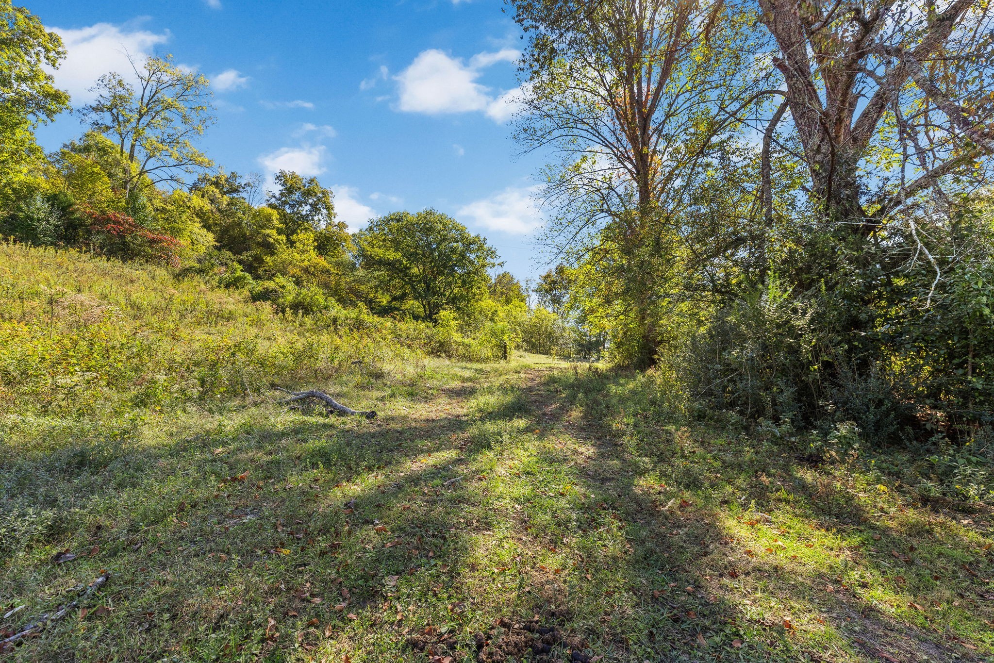 14256 Campbellsville Rd Property Photo 11