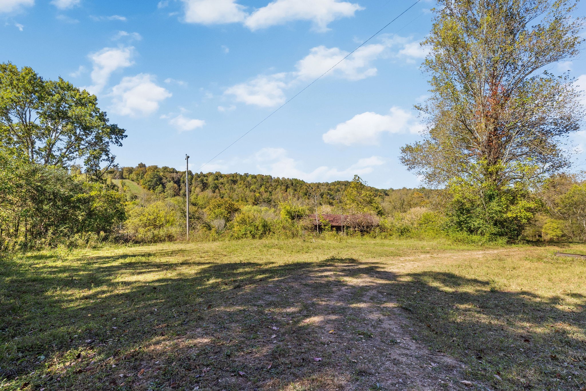 14256 Campbellsville Rd Property Photo 12