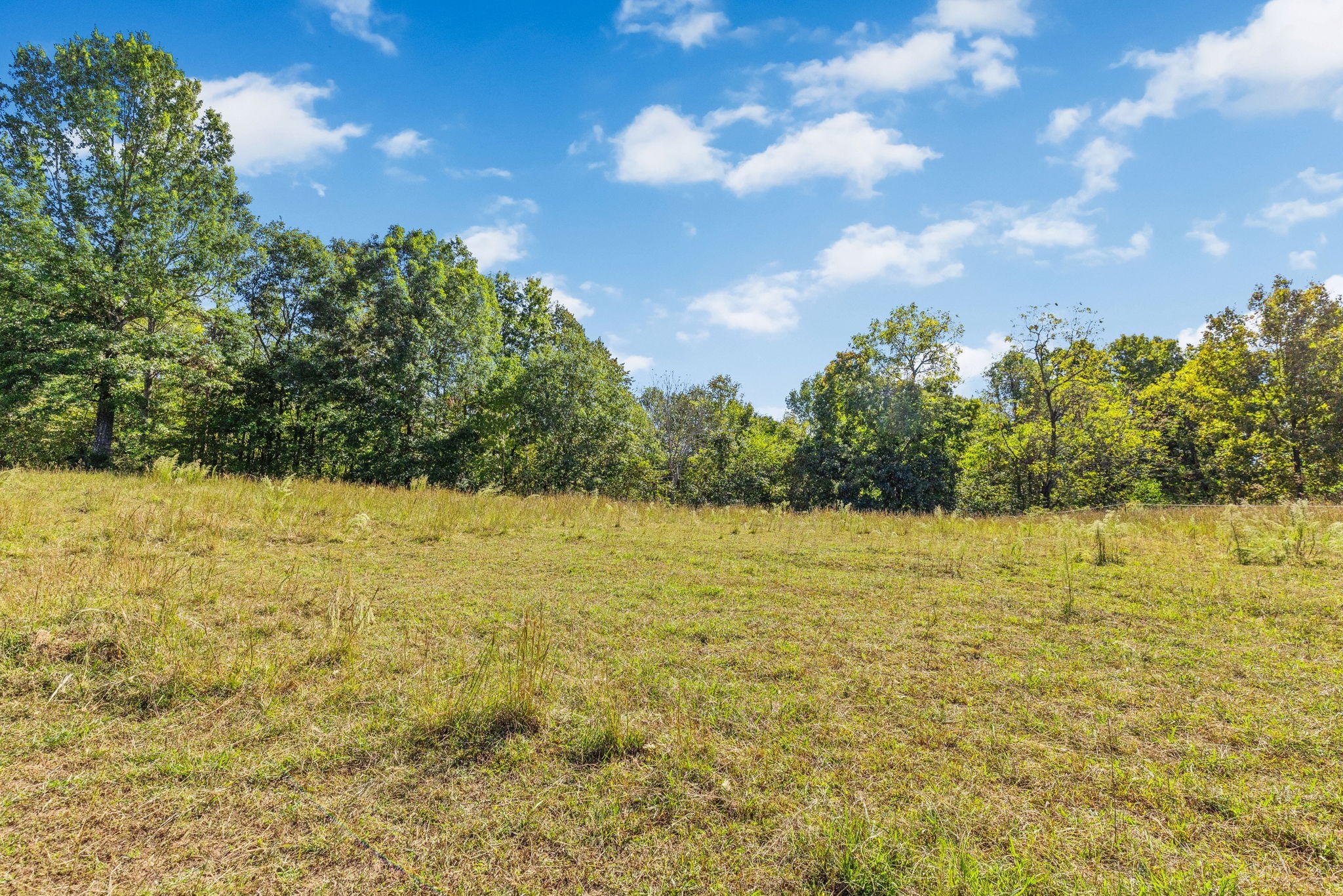14256 Campbellsville Rd Property Photo 16