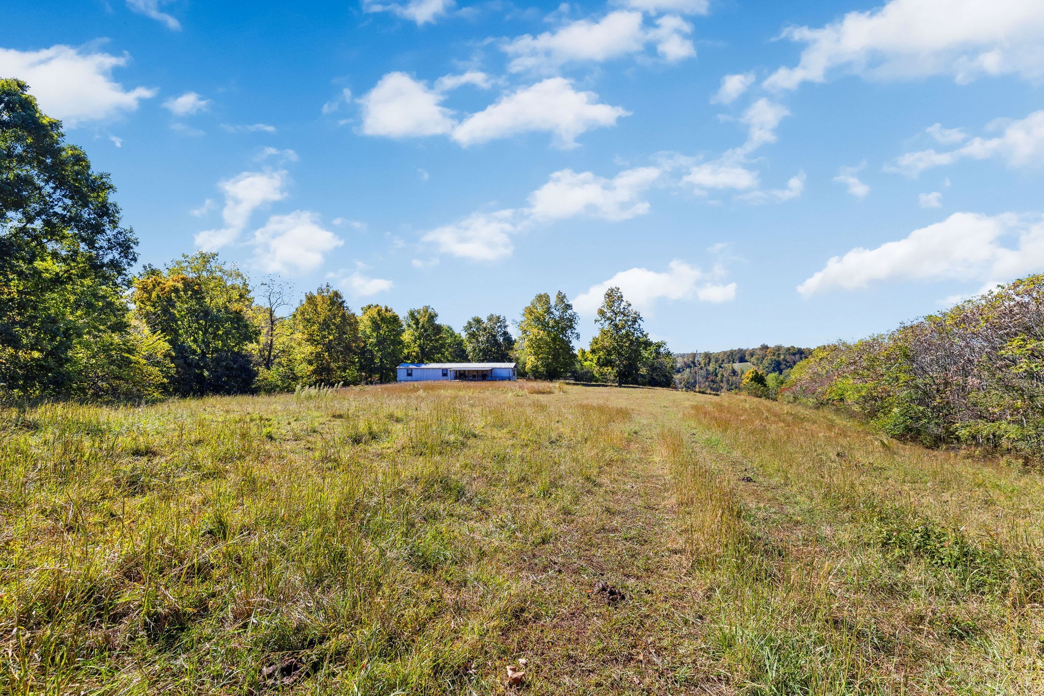 14256 Campbellsville Rd Property Photo 17