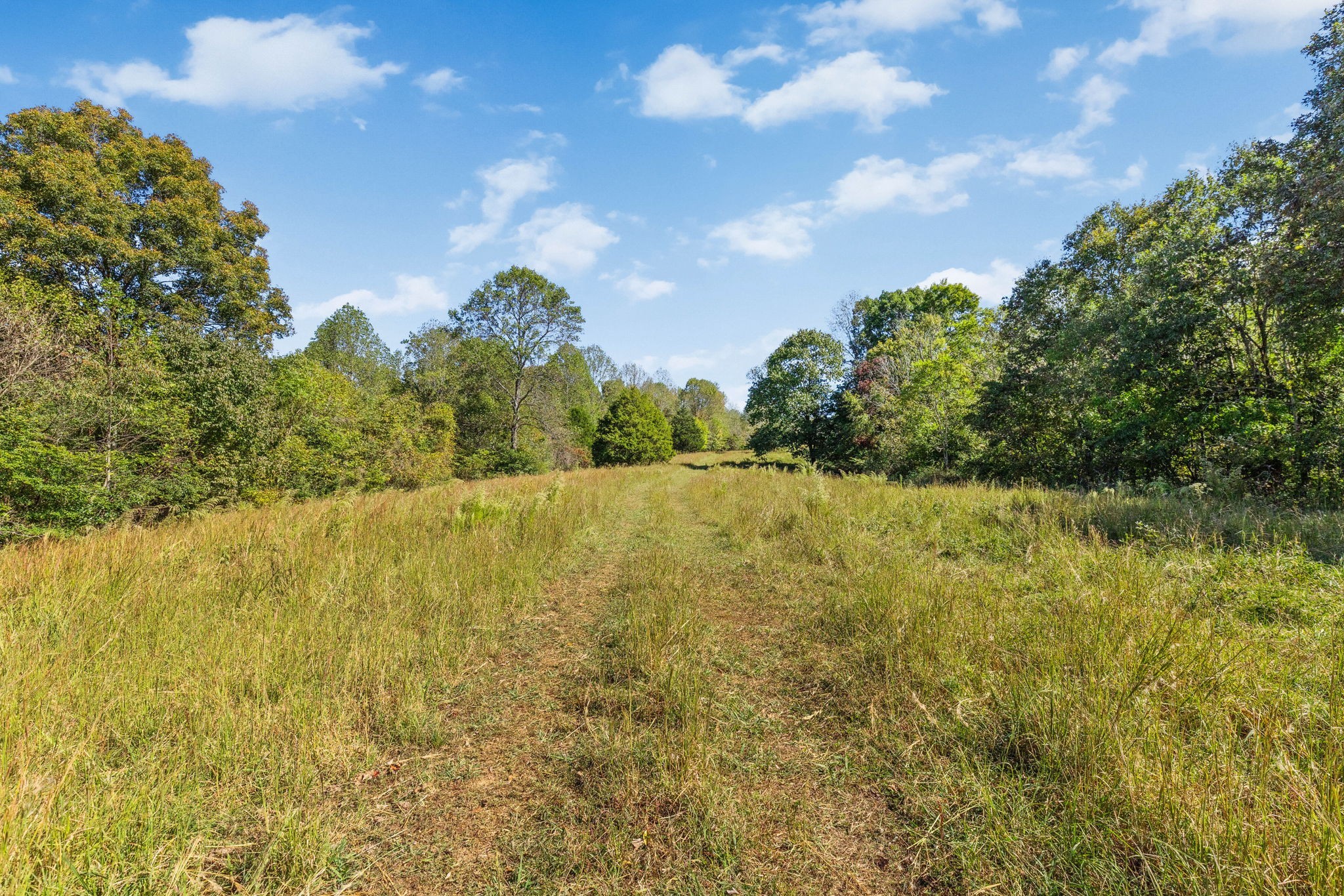 14256 Campbellsville Rd Property Photo 18