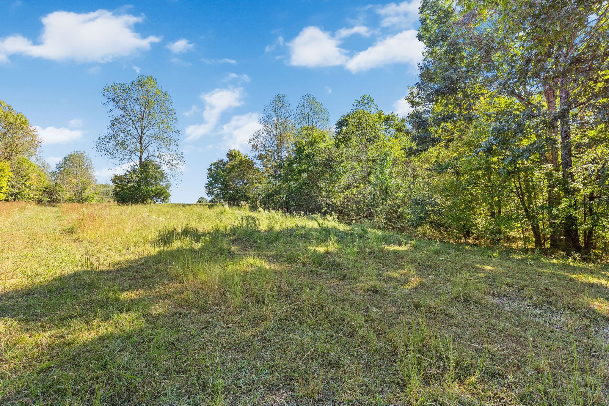 14256 Campbellsville Rd Property Photo 19