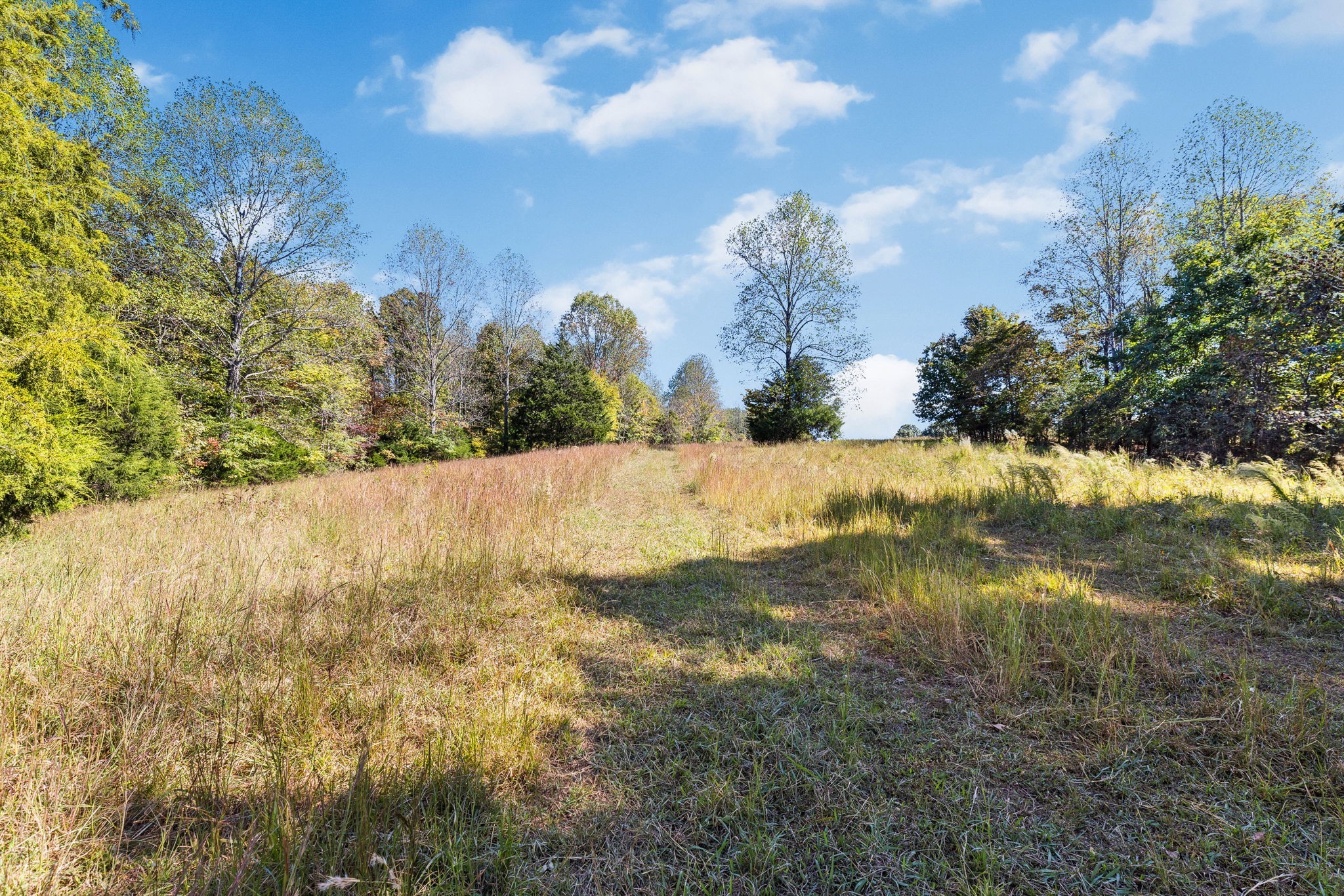 14256 Campbellsville Rd Property Photo 20
