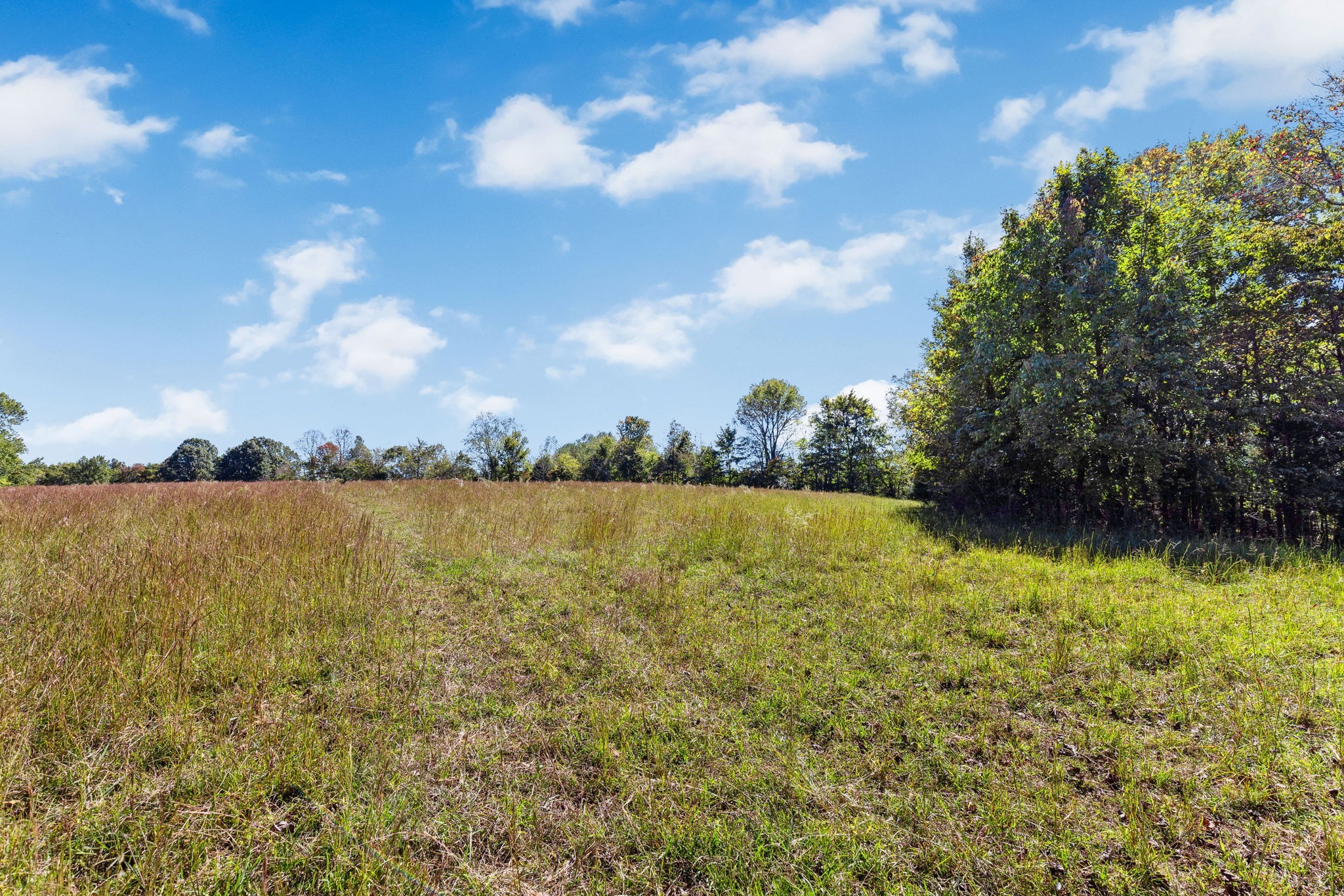14256 Campbellsville Rd Property Photo 22