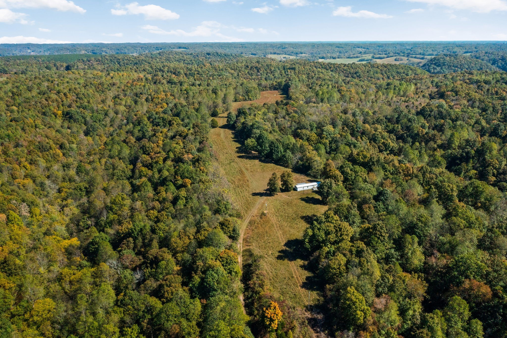 14256 Campbellsville Rd Property Photo
