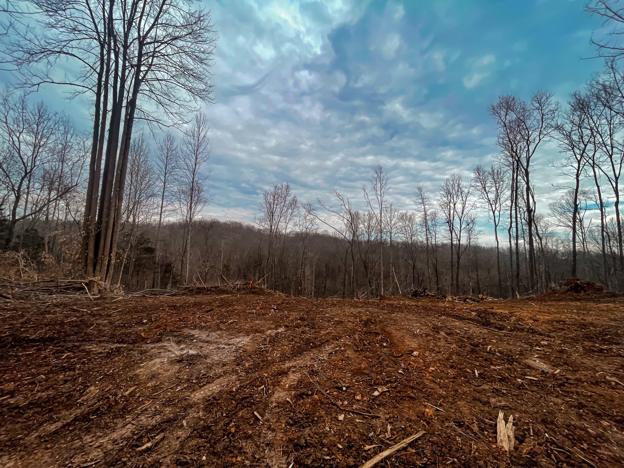 0 Ridgetop Dr Property Photo 2