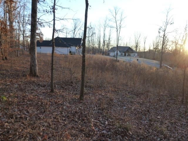 0 Stone Run Property Photo 1