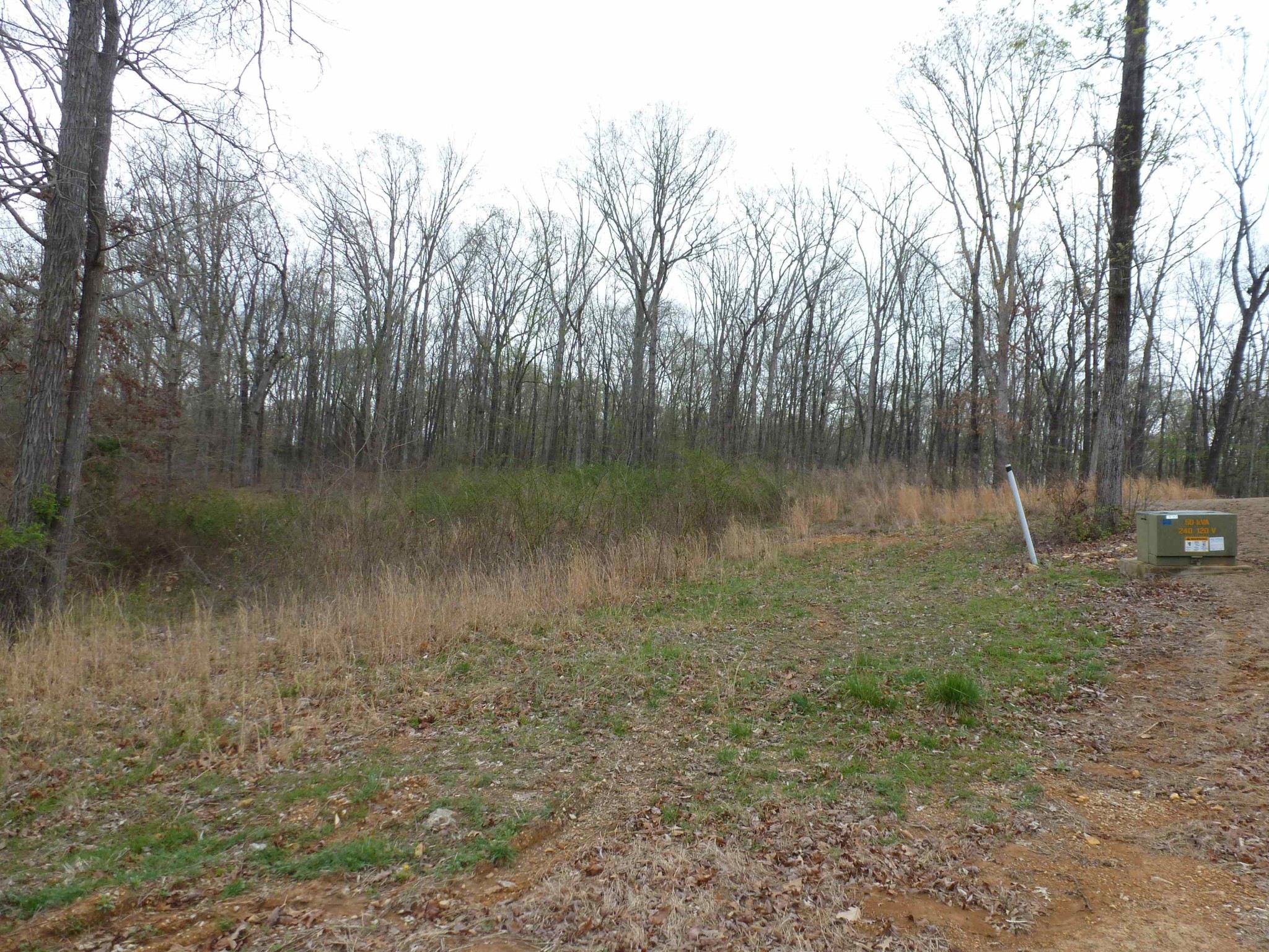 0 Stone Run Property Photo 5