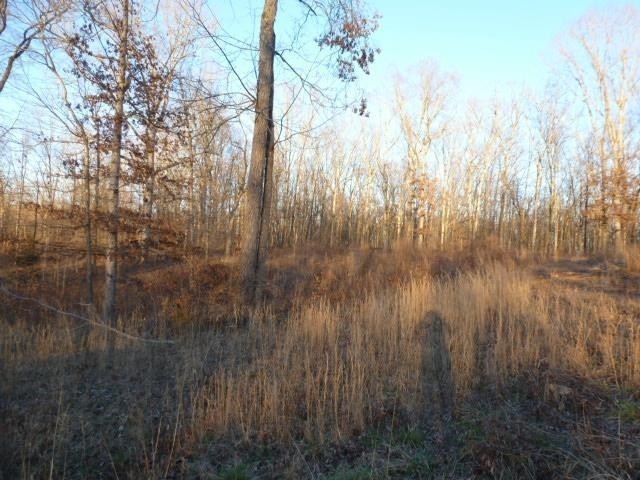 0 Stone Run Property Photo 6