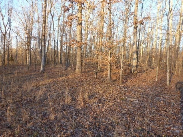 0 Stone Run Property Photo 7