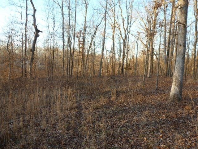 0 Stone Run Property Photo 8