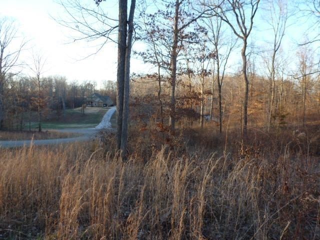 0 Stone Run Property Photo 9