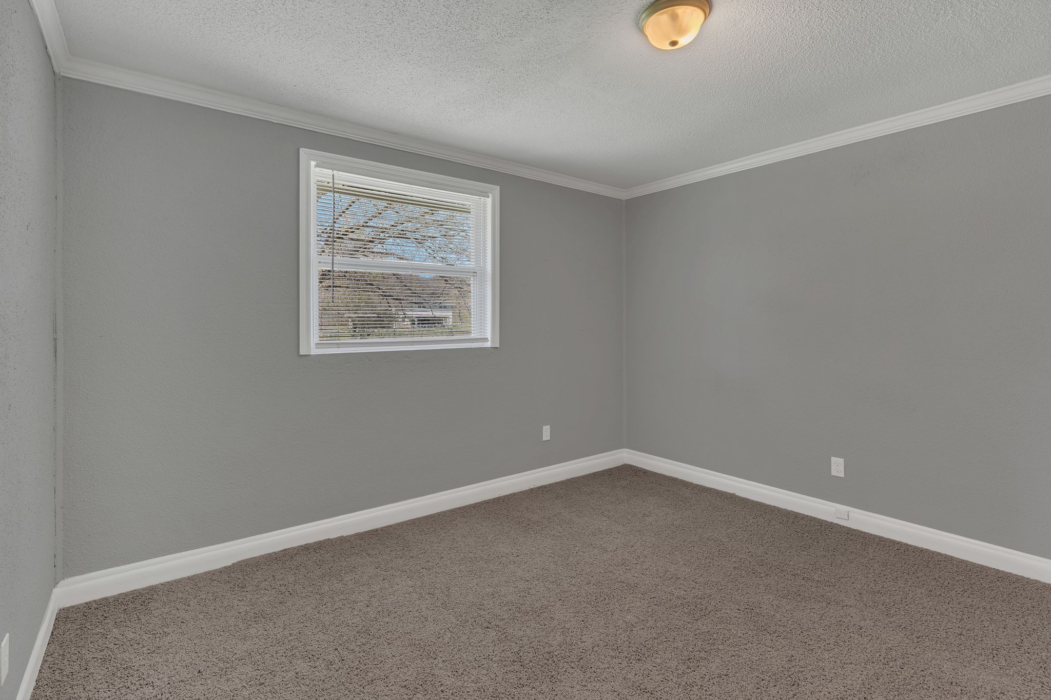 3883 Lunn Dr Property Photo 8