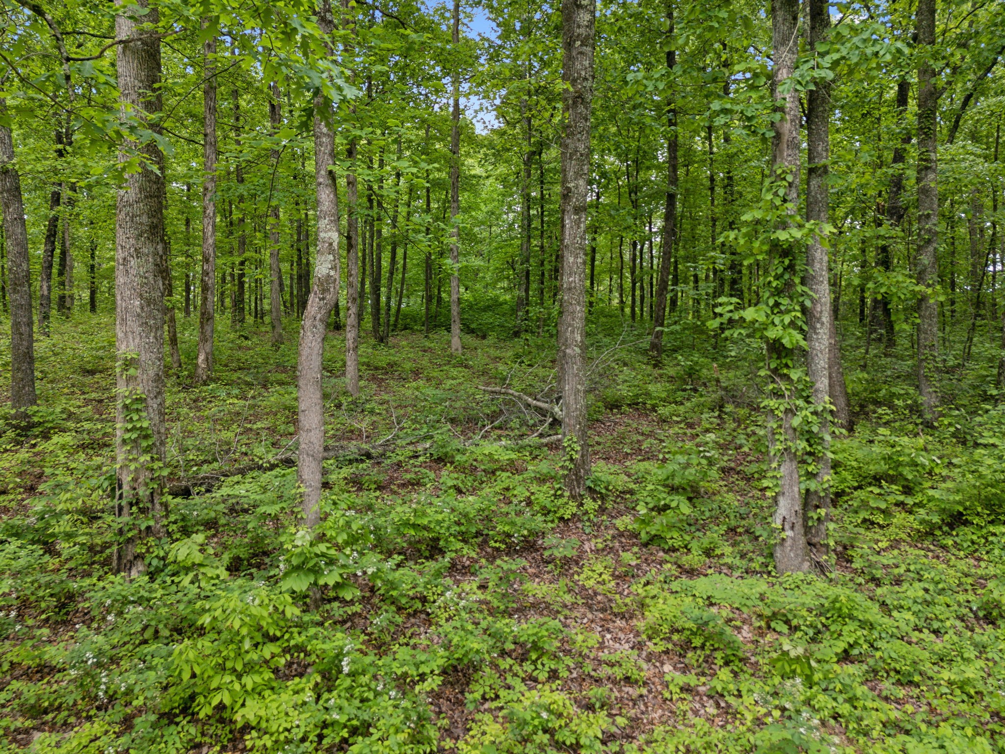 6033 Vesper Way, E Property Photo 91