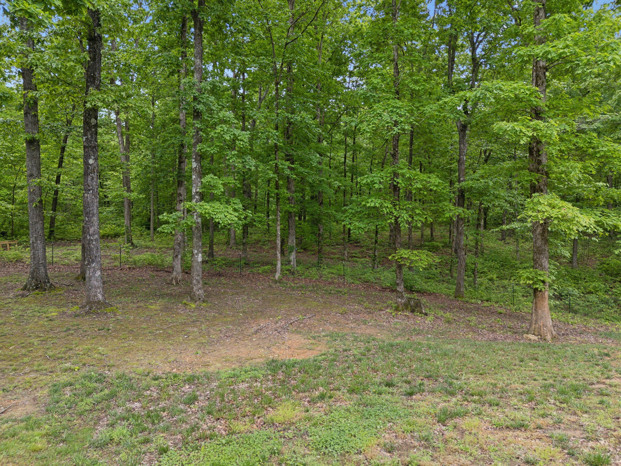 6033 Vesper Way, E Property Photo 92