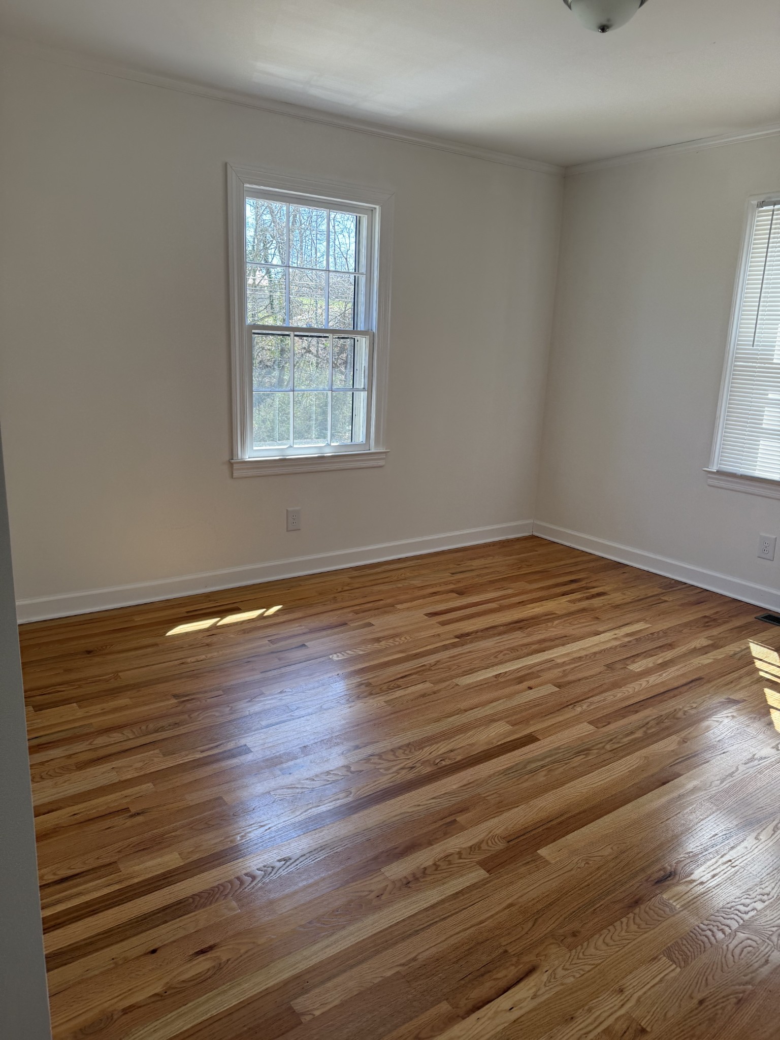 115 Westwood Dr Property Photo 6