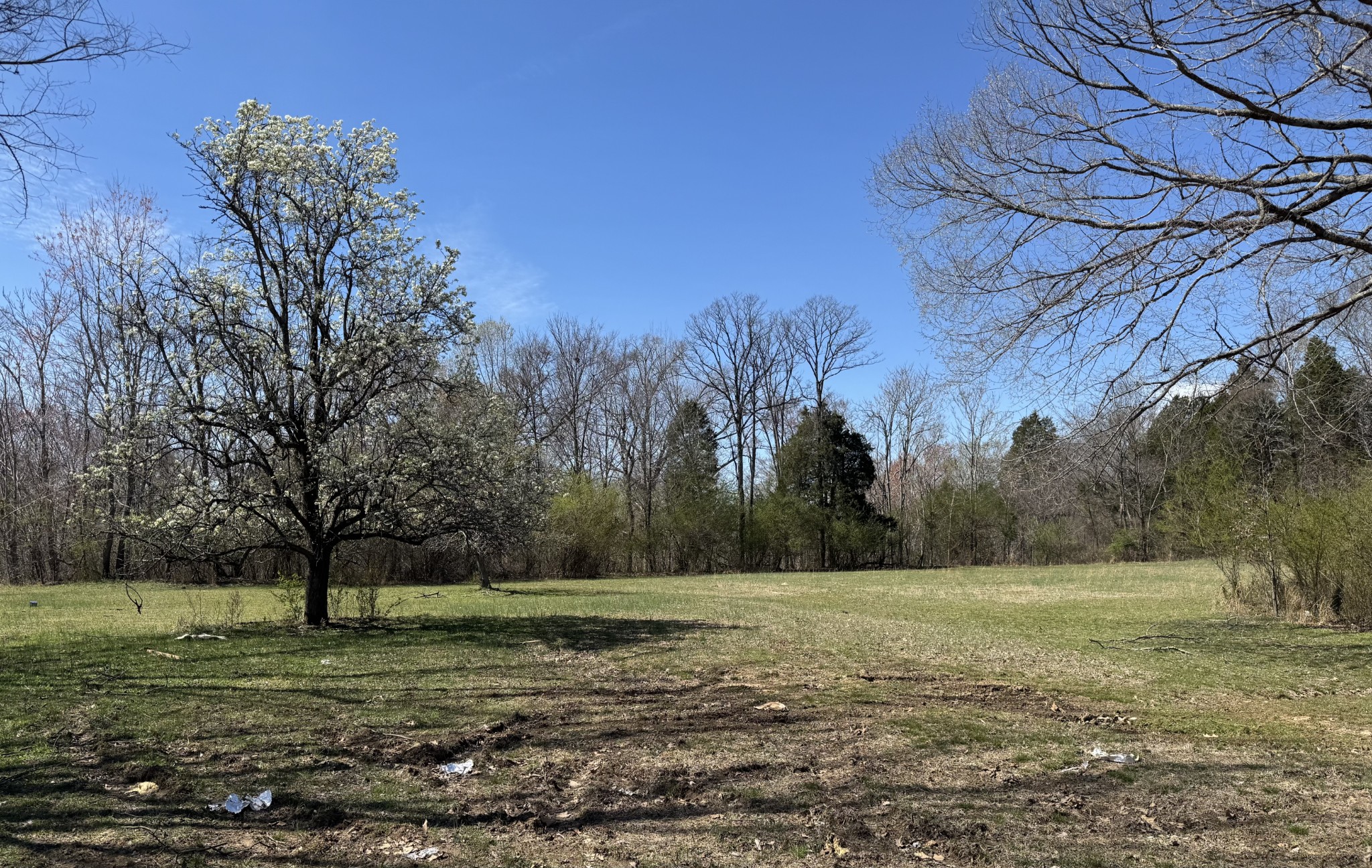 38241 Real Estate Listings Main Image