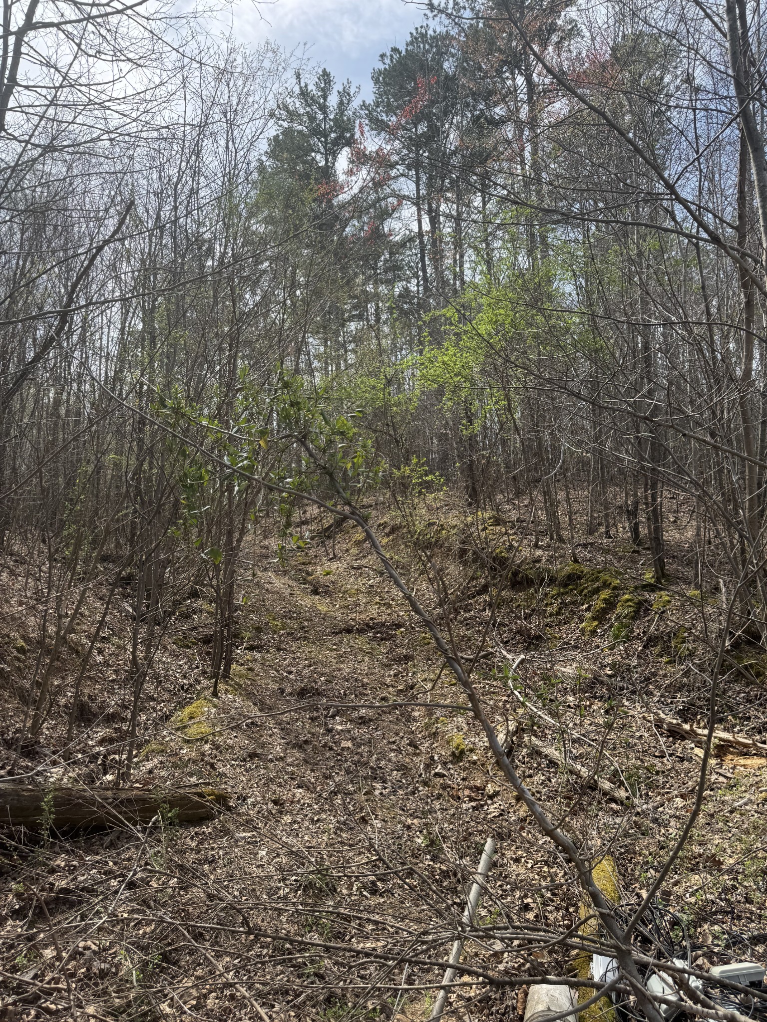 446 Kilburn Hollow Rd Property Photo 21