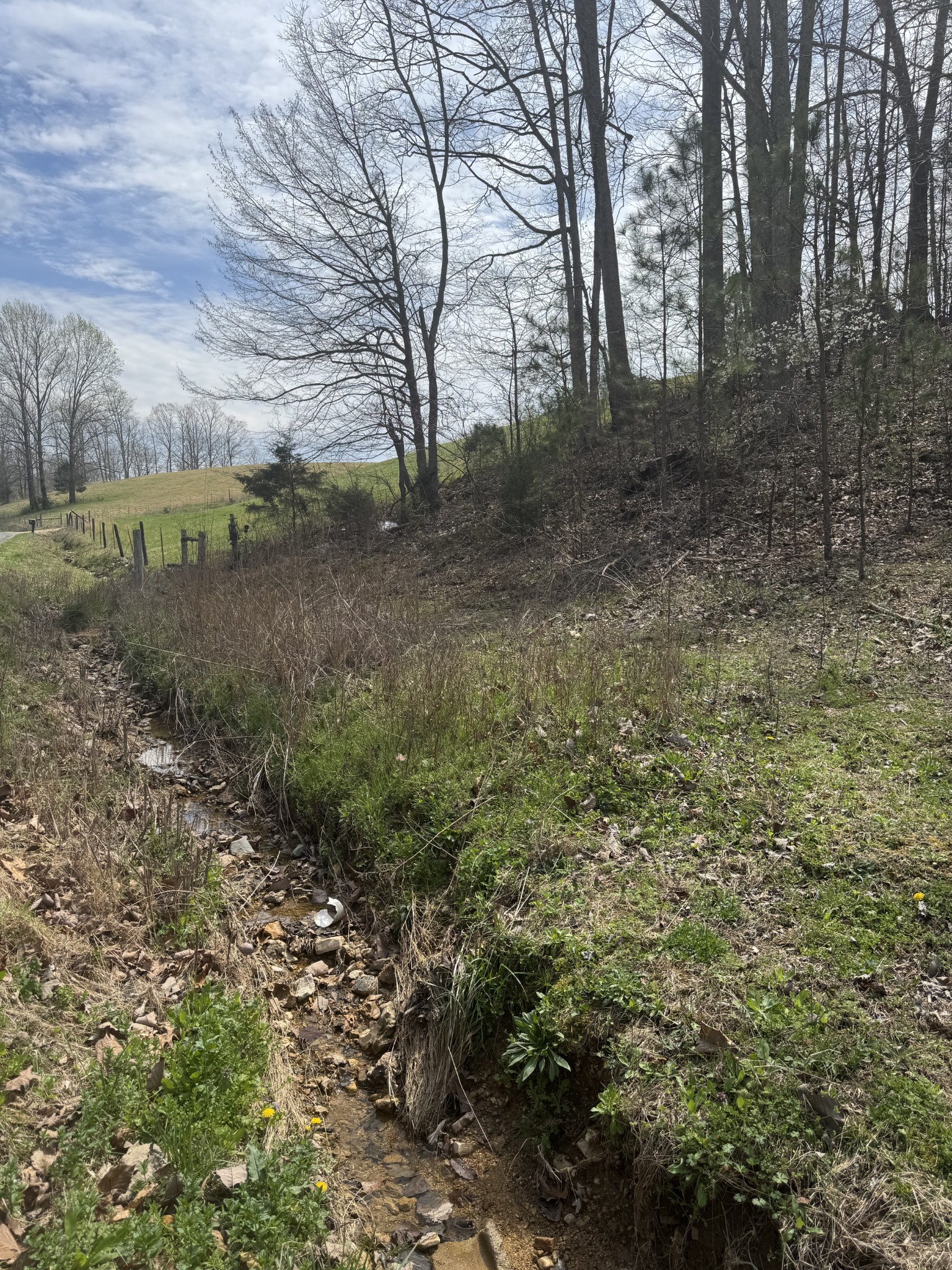 446 Kilburn Hollow Rd Property Photo 22