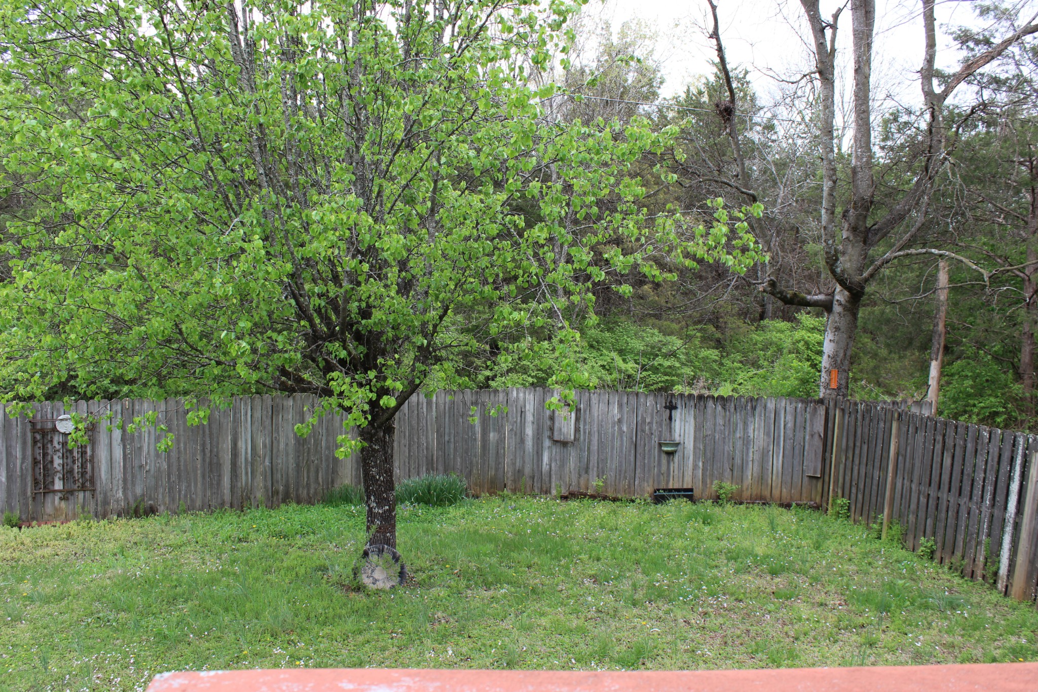 6309 Paddington Way Property Photo 30