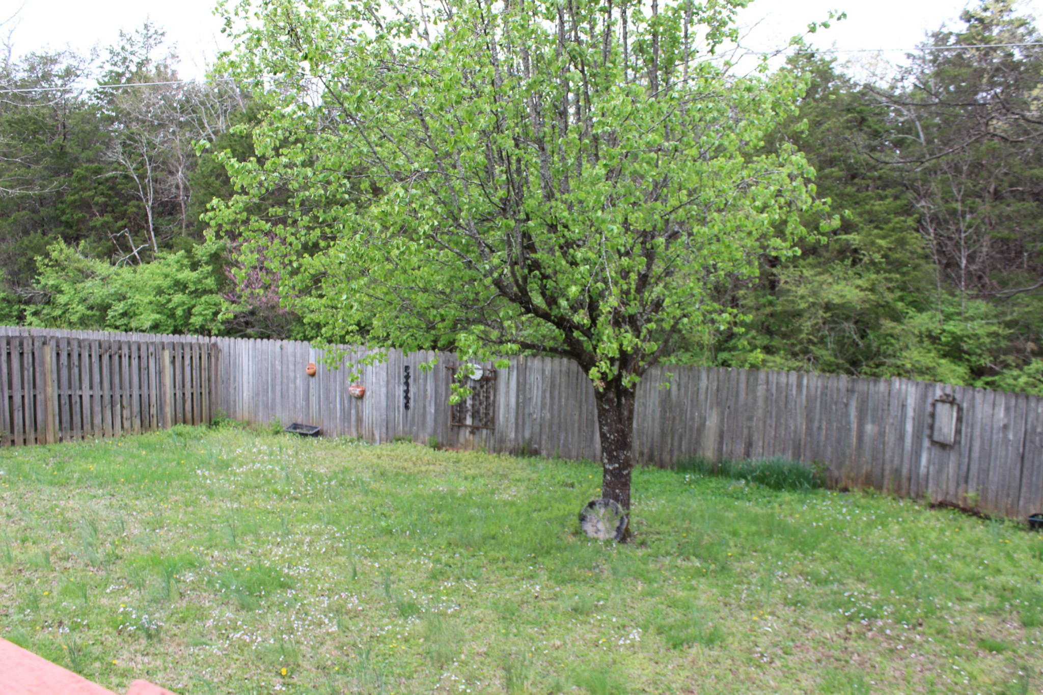 6309 Paddington Way Property Photo 31