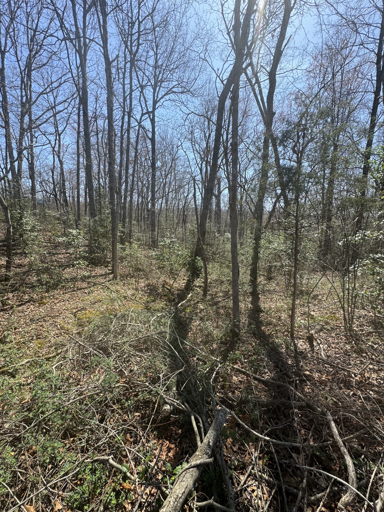 0 Hebbertsburg Rd Property Photo 8