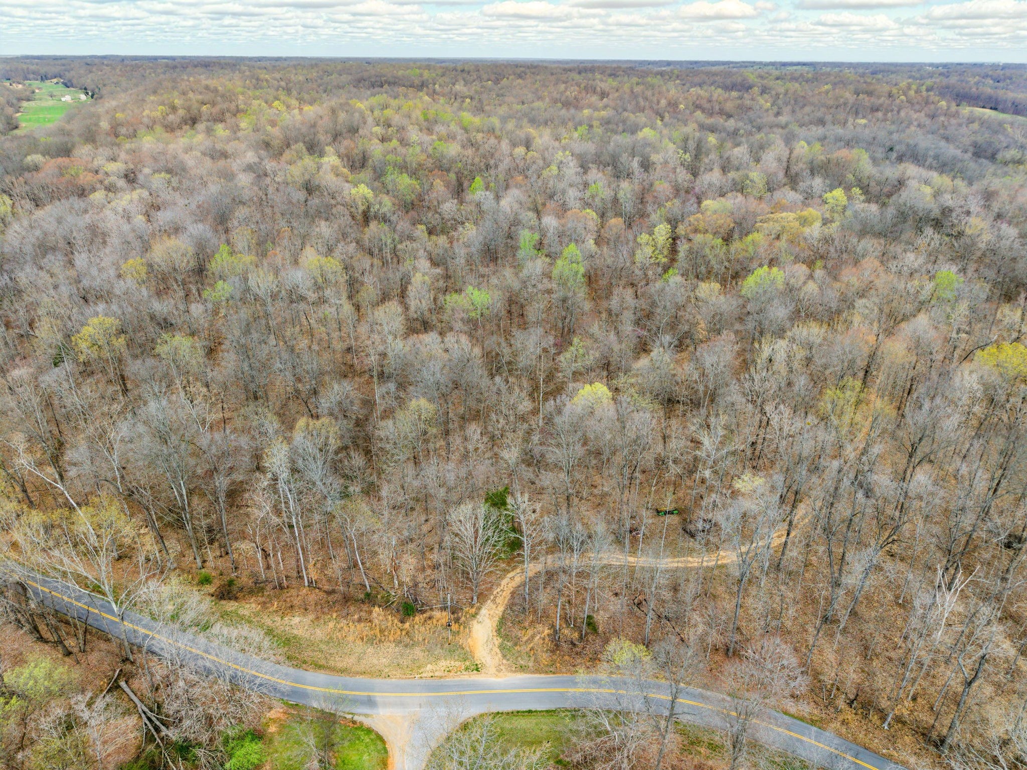 4220 Will Jackson Rd Property Photo 5