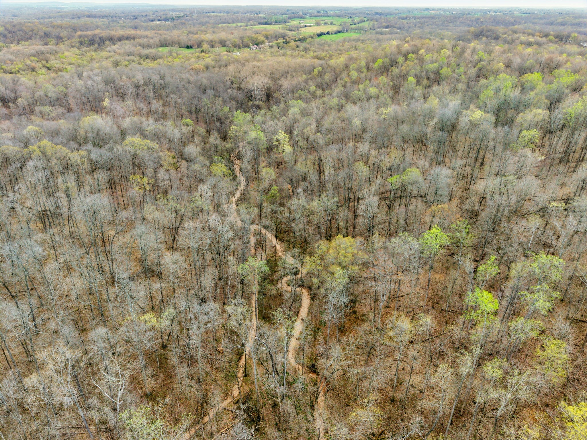 4220 Will Jackson Rd Property Photo 6