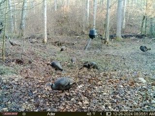 4220 Will Jackson Rd Property Photo 11