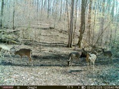 4220 Will Jackson Rd Property Photo 14