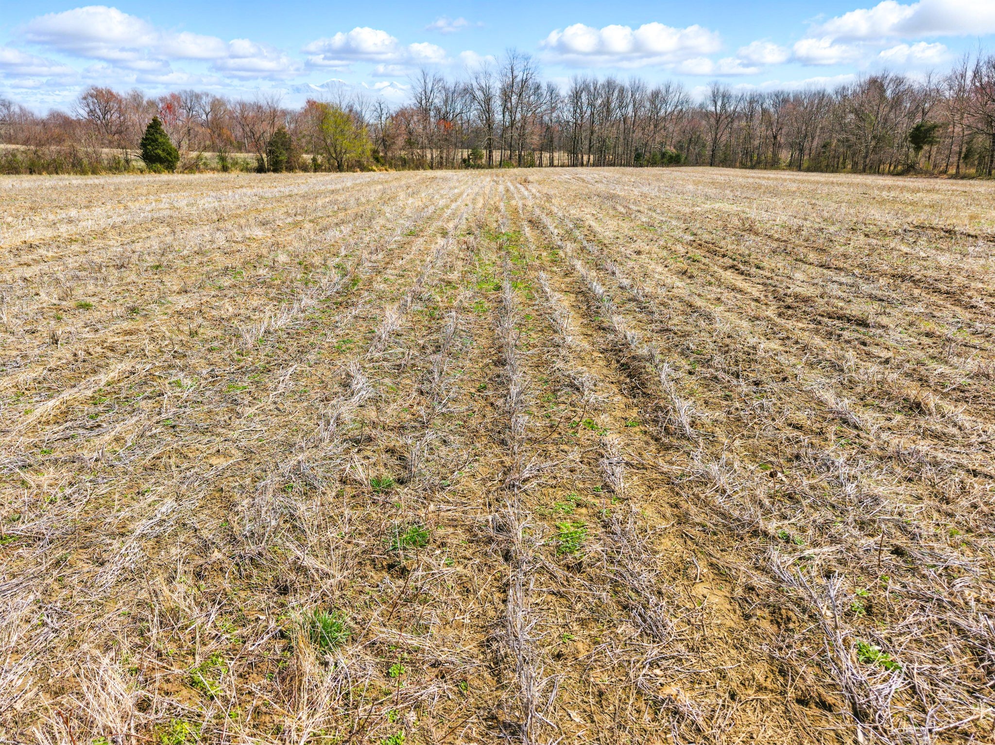 6000 Hopkinsville Mt Zoar Rd Property Photo 4
