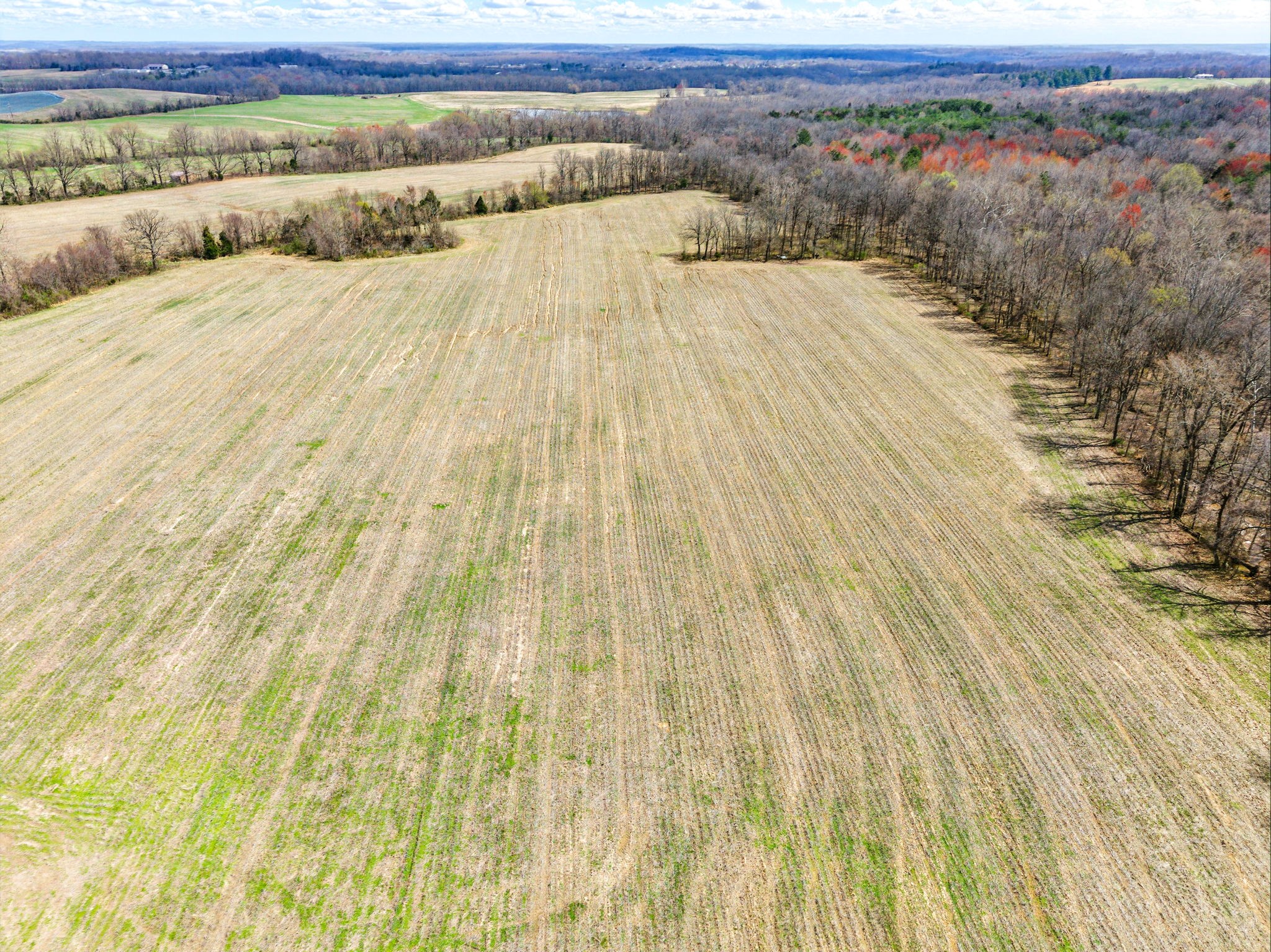 6000 Hopkinsville Mt Zoar Rd Property Photo 5