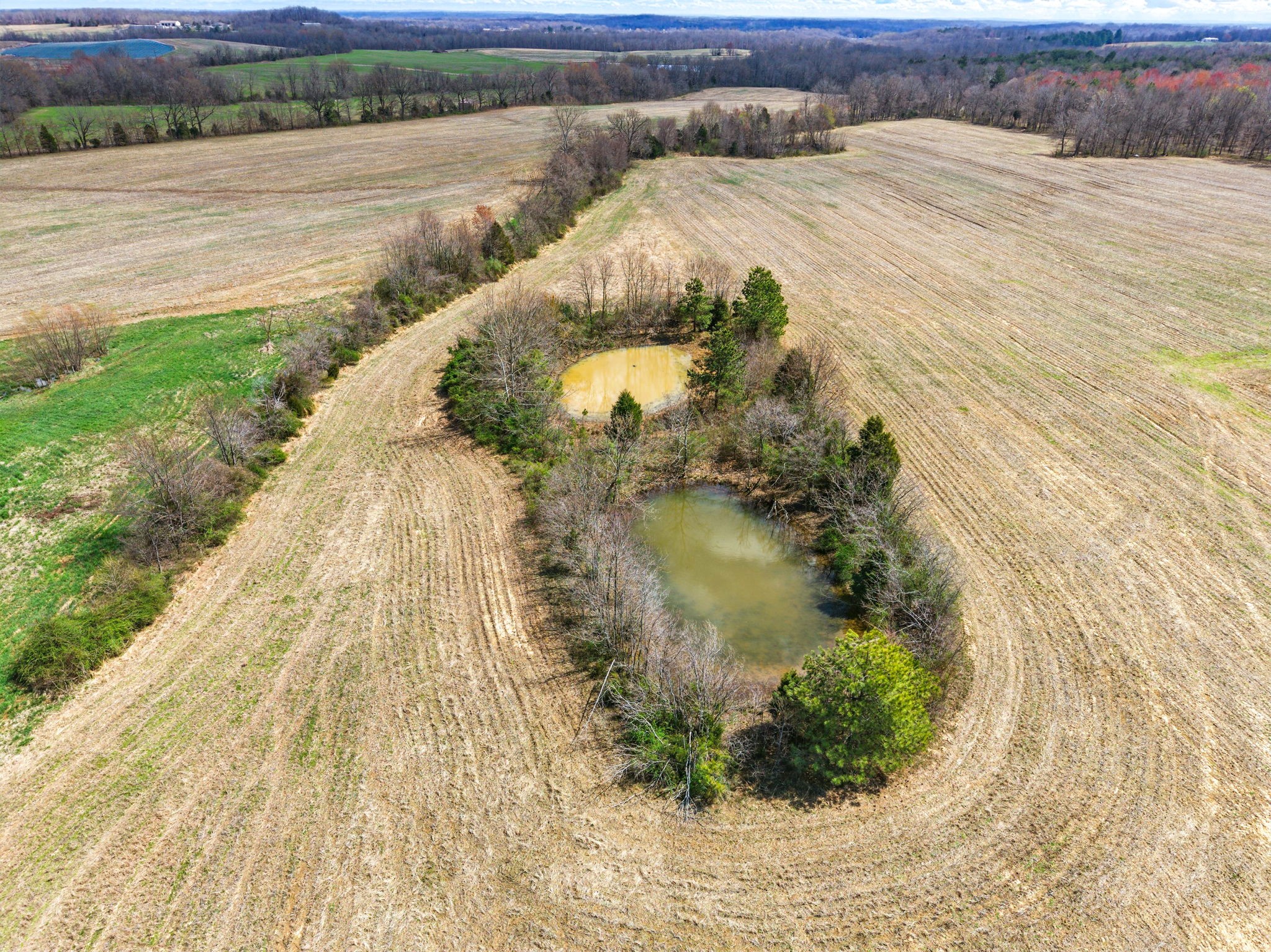 6000 Hopkinsville Mt Zoar Rd Property Photo 6