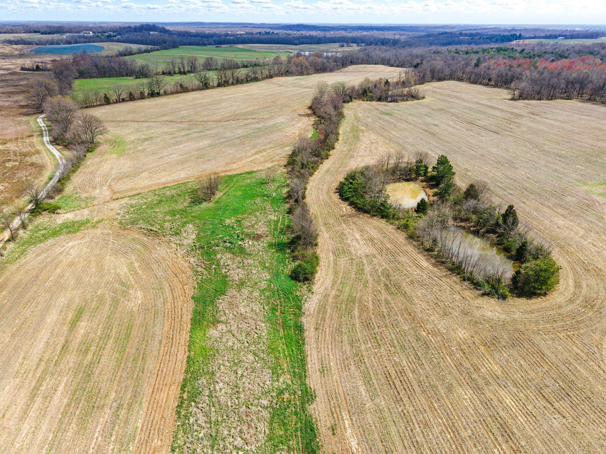 6000 Hopkinsville Mt Zoar Rd Property Photo 7