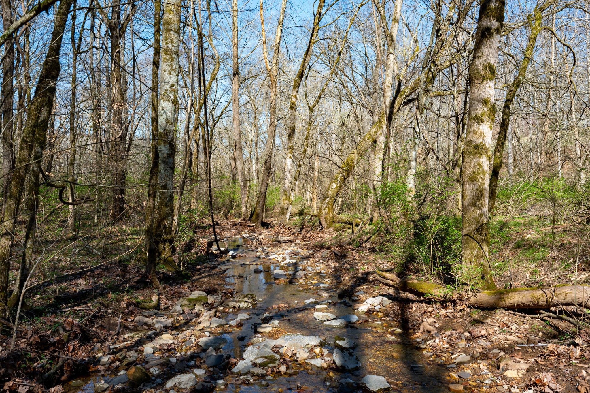 0 Bedford Creek Road Property Photo 14