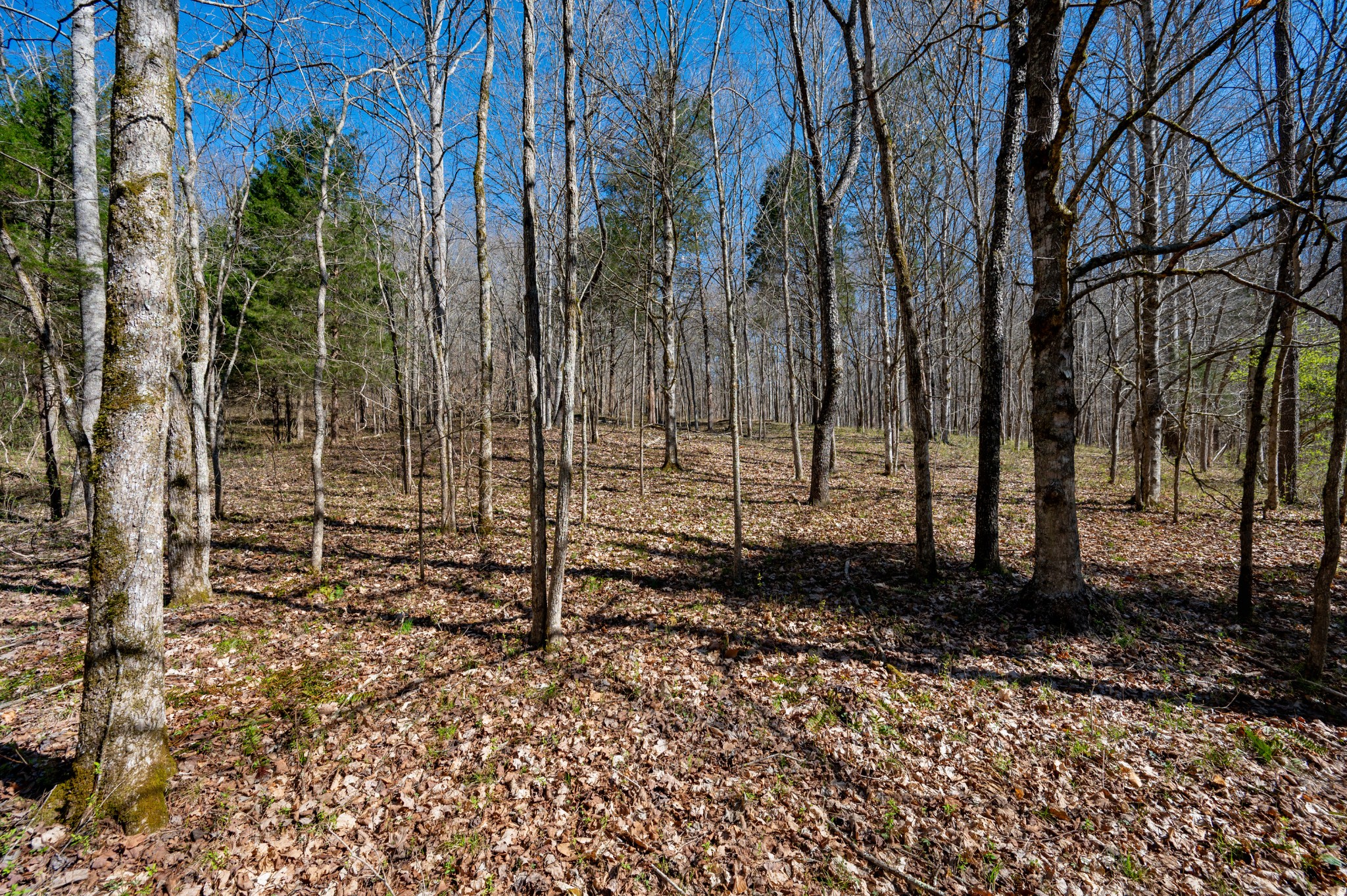 0 Bedford Creek Road Property Photo 16