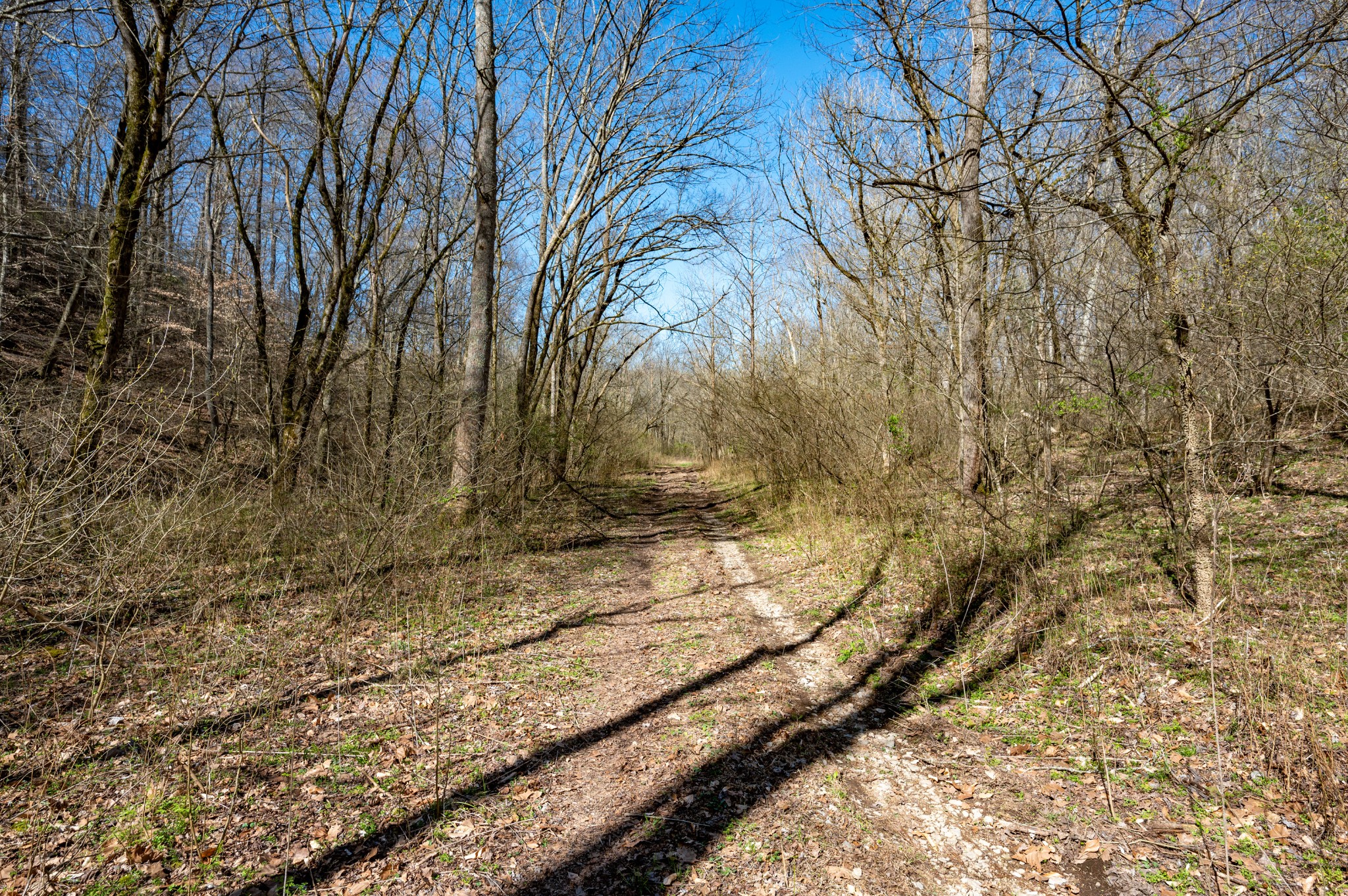 0 Bedford Creek Road Property Photo 17