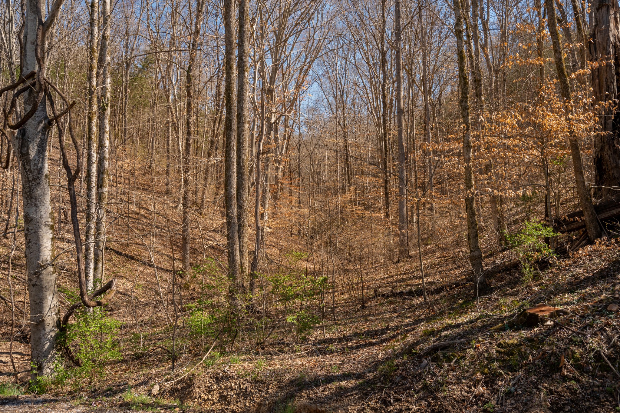 0 Bedford Creek Road Property Photo 21