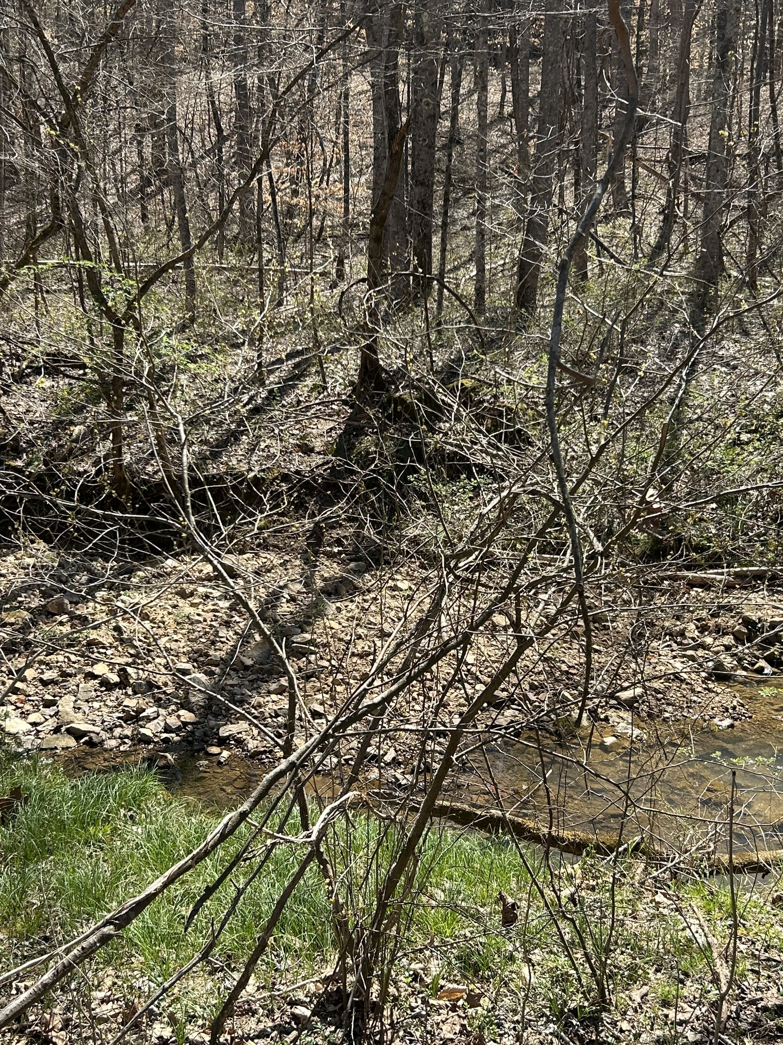 820 Lucas Rd Property Photo 2