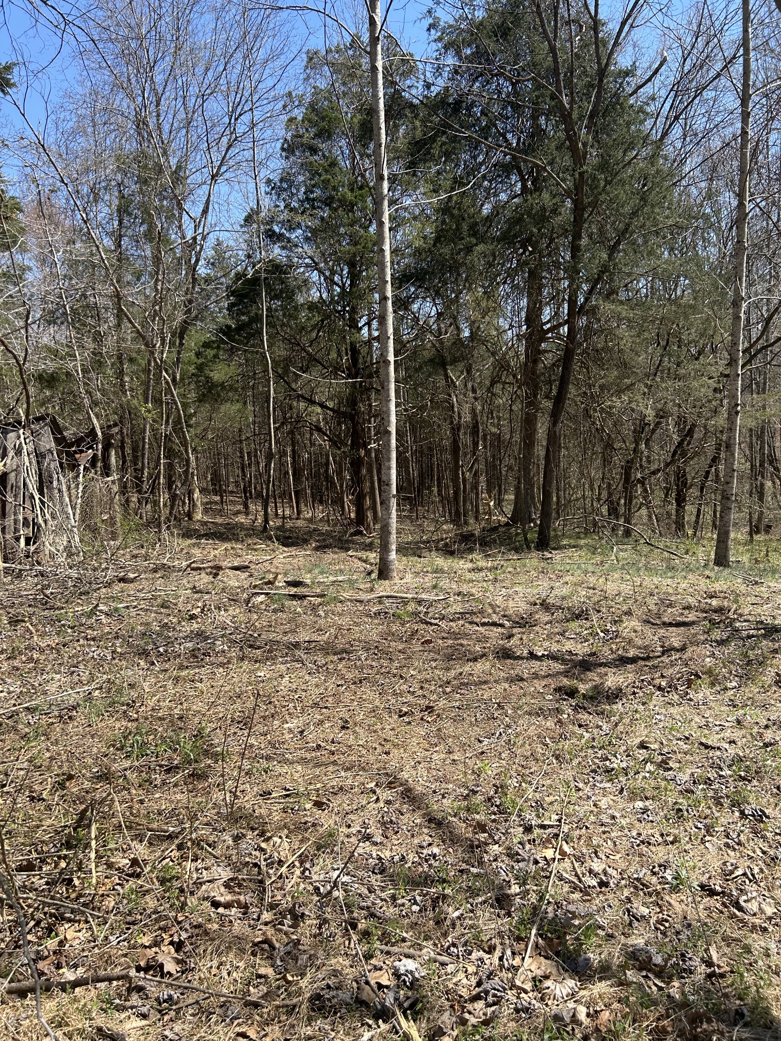 820 Lucas Rd Property Photo 3
